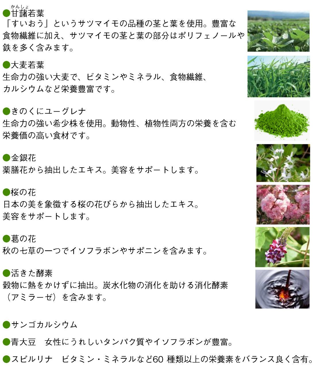 POLA GREEN FIBER酵素青汁 3個月量 - La Fée Beauty