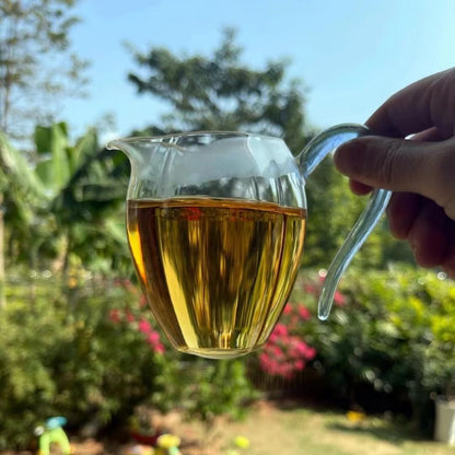 10 年東甲圈枝大紅柑陳皮 止咳化痰 半斤（250g) 禮盒裝 - La Fée Beauty