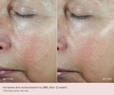 MZ Skin REVIVING ANTIOXIDANT FACIAL OIL 抗氧化精華油30ml