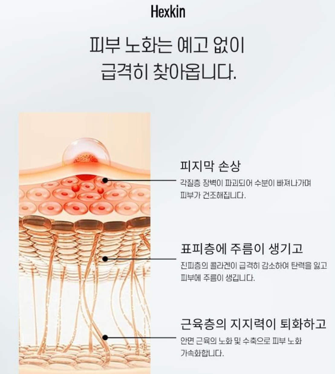 HEXKIN 赫詩琴 Revitalizing Collagen Facial Mask 煥顏膠原蛋白 23g*10pcs