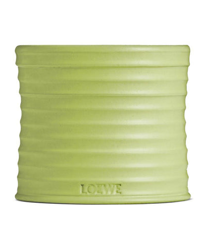 LOEWE 羅意威 黃瓜蠟燭 170g
