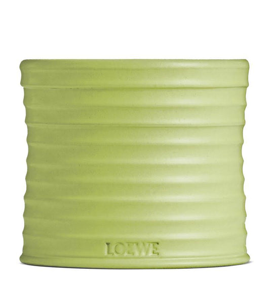 LOEWE 羅意威 黃瓜蠟燭 170g