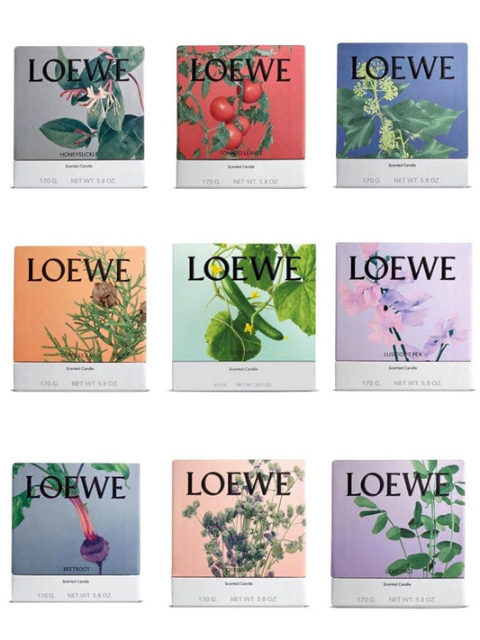 LOEWE 羅意威 落羽松毬果蠟燭 170g