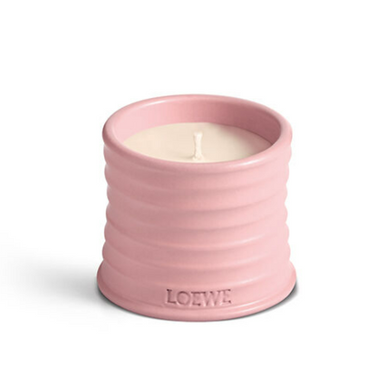 LOEWE 羅意威 常春藤蠟燭 170g