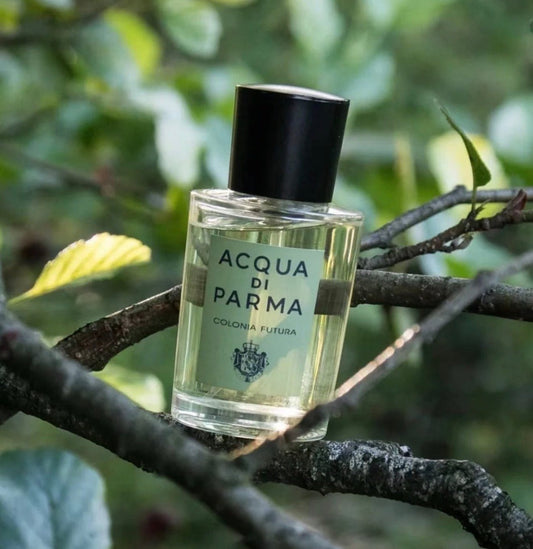 ACQUA DI PARMA Colonia Futura Eau De Cologne 帕爾瑪之水未來古龍水 - La Fée Beauty