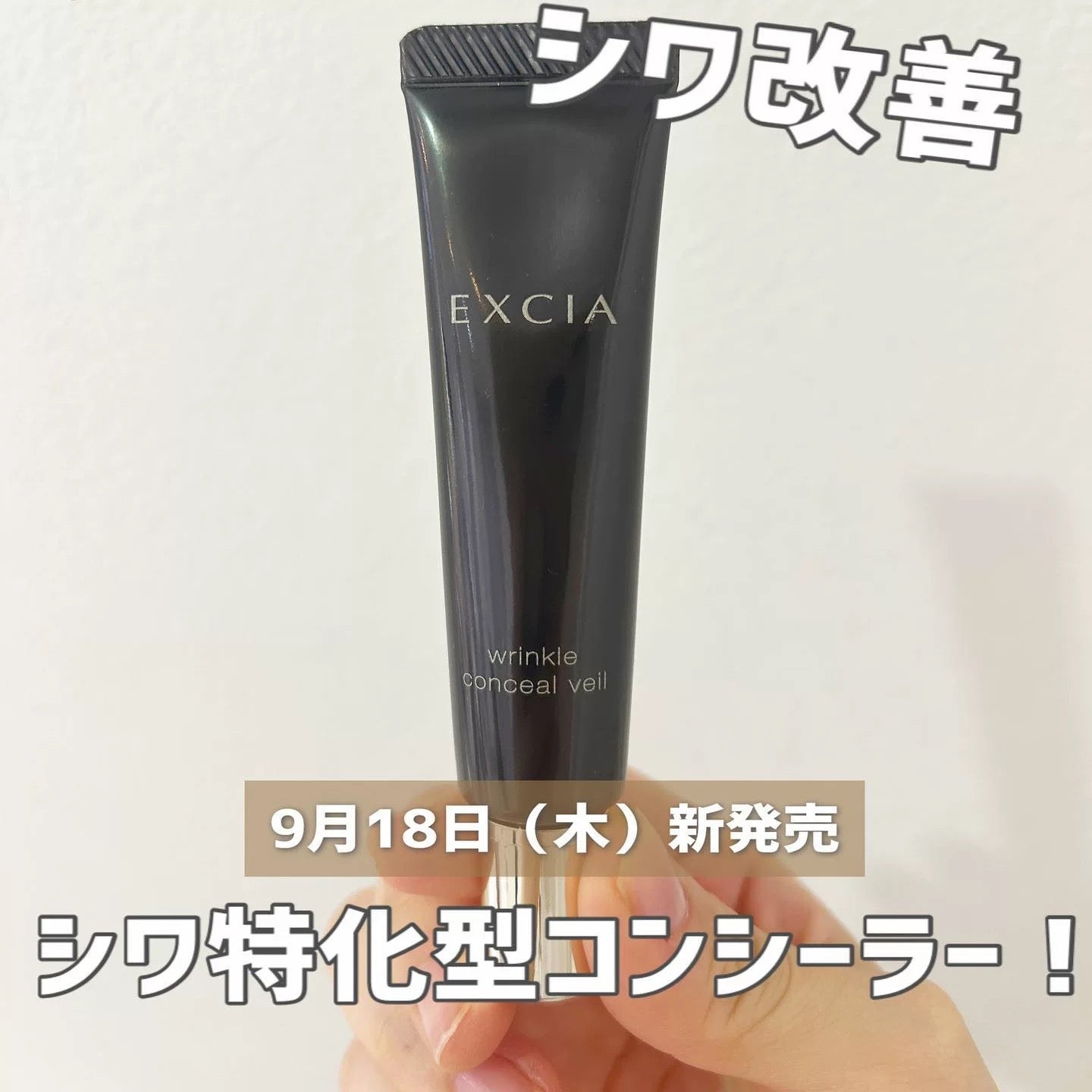 ALBION 奧爾濱 EXCIA 25秋季新版 蜂漿細紋打底遮瑕膏 15g - La Fée Beauty