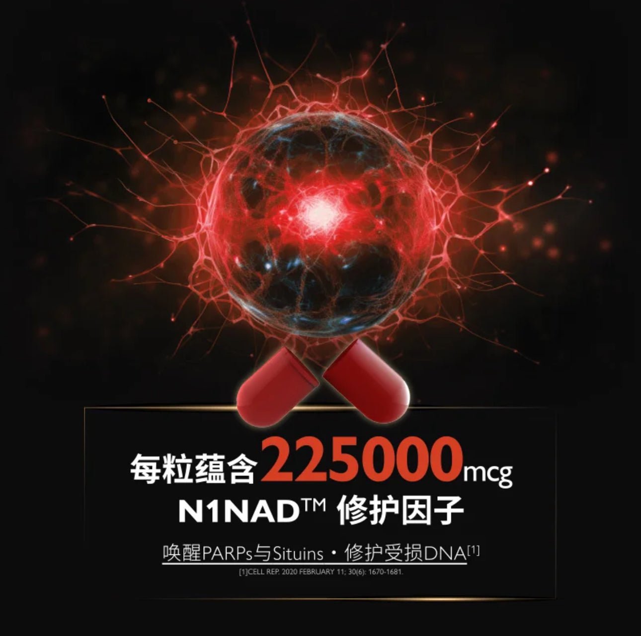 澳洲 Bio-E Bionique 密碼一號 細胞逆轉NAD+膠囊 60粒+送8粒 - La Fée Beauty