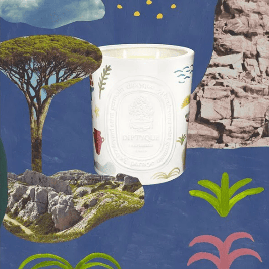 DIPTYQUE Ilio Scented Candle CITRONNELLE 夏日之光系列檸檬草香氛蠟燭 1.5kg - La Fée Beauty