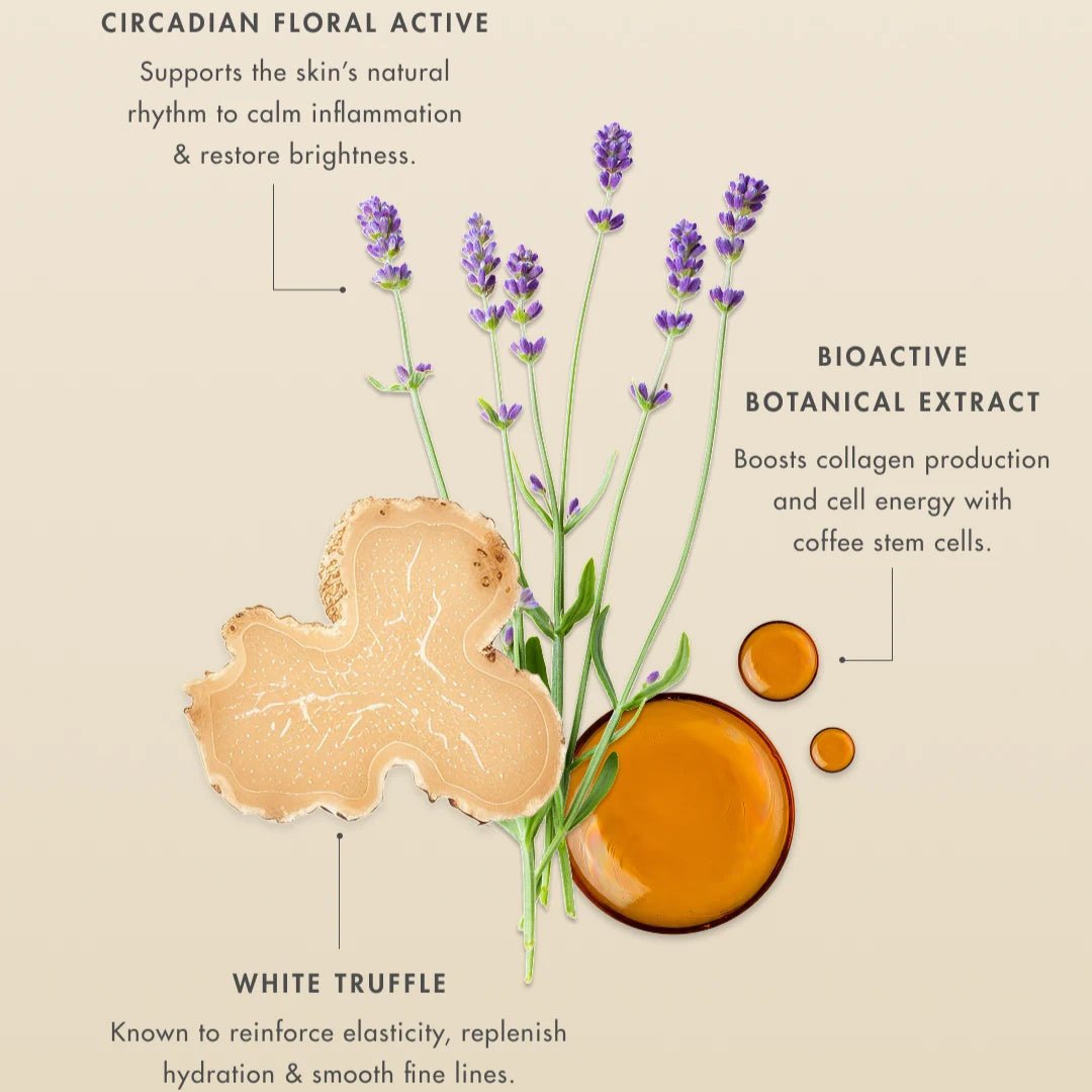 英國 EVELOM Renewal Intensive Treatment 臻養奢耀賦能膜 保濕滋潤 面膜霜 - La Fée Beauty