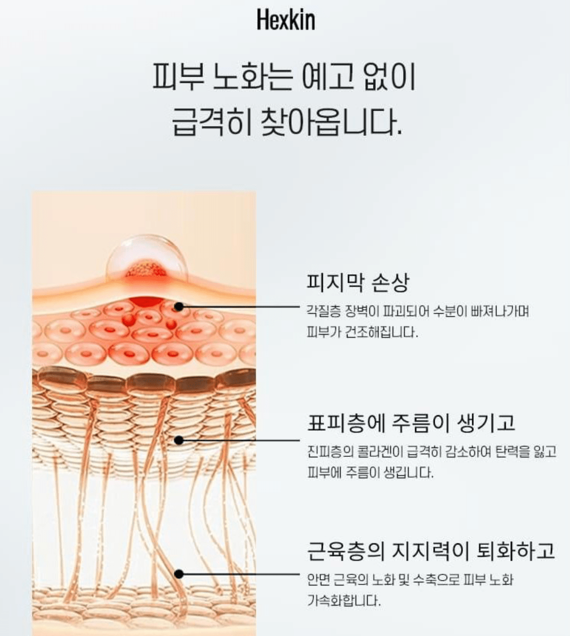 HEXKIN 赫詩琴 Revitalizing Collagen Facial Mask 煥顏膠原蛋白 23g*10pcs - La Fée Beauty