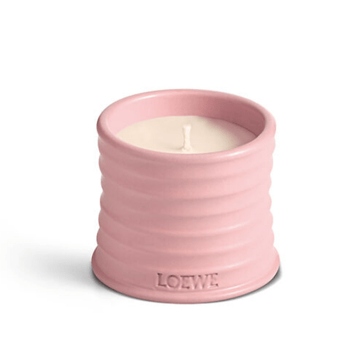 LOEWE 羅意威 常春藤蠟燭 170g - La Fée Beauty