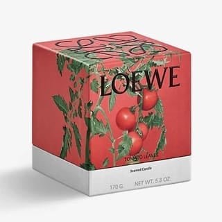 LOEWE 羅意威 番茄葉蠟燭 170g - La Fée Beauty