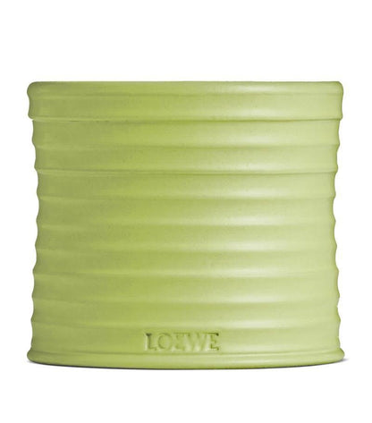 LOEWE 羅意威 黃瓜蠟燭 170g - La Fée Beauty