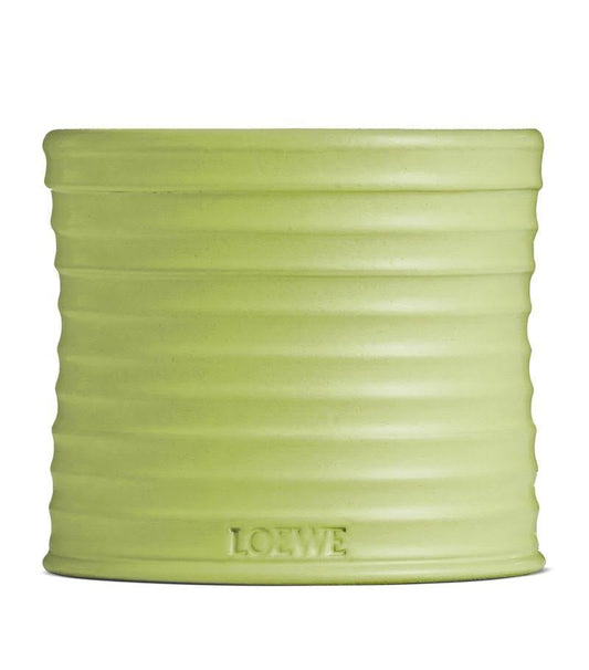 LOEWE 羅意威 黃瓜蠟燭 170g - La Fée Beauty