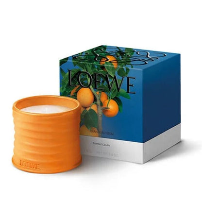 LOEWE 羅意威 橙花蠟燭 170g - La Fée Beauty