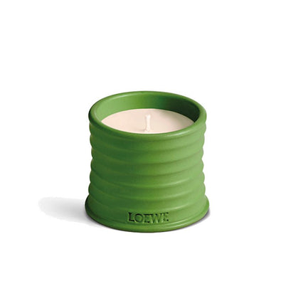 LOEWE 羅意威 LOEWE 甜豌豆蠟燭 170g - La Fée Beauty