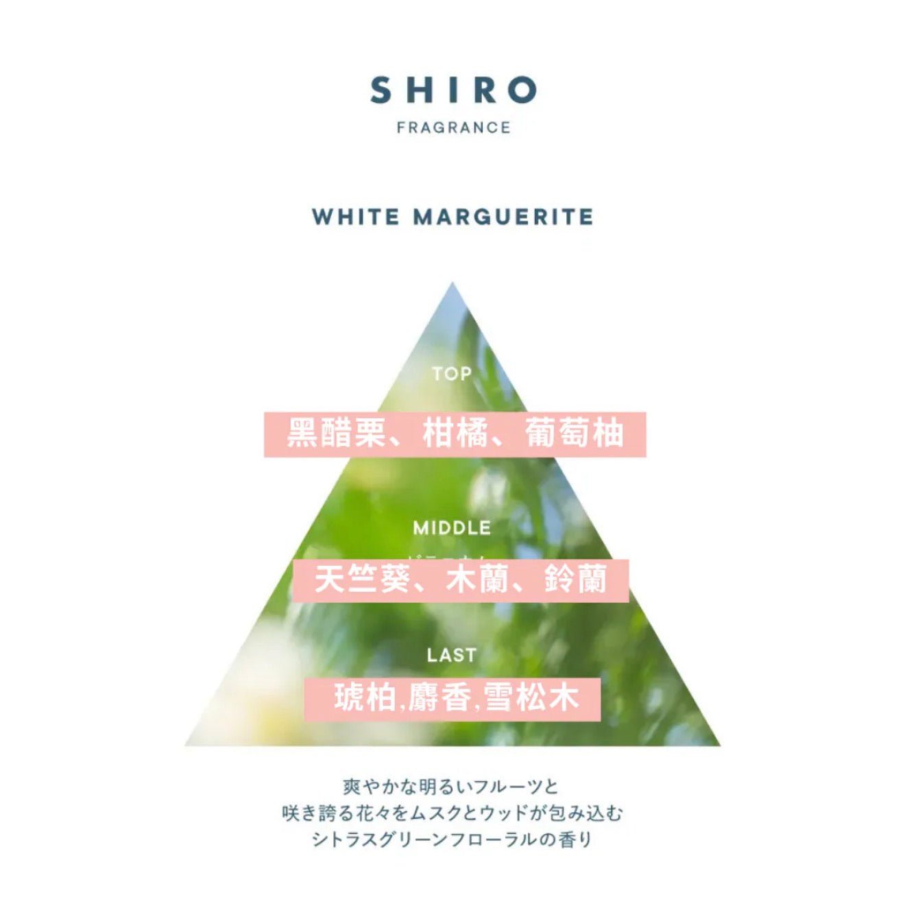 日本 SHIRO 有機品牌 2026年 White Marguerite Series 柑橘綠調花香系列 - La Fée Beauty