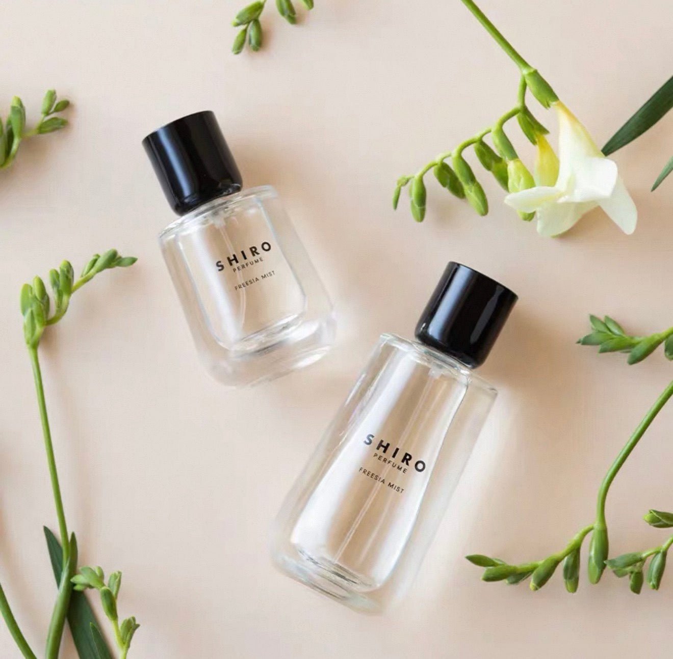 日本 SHIRO FREESIA MIST EAU DE PARFUM 花店清香香水 - La Fée Beauty