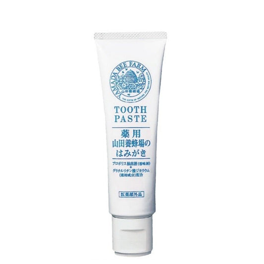 日本直送 山田養蜂場藥用牙膏 100g - La Fée Beauty