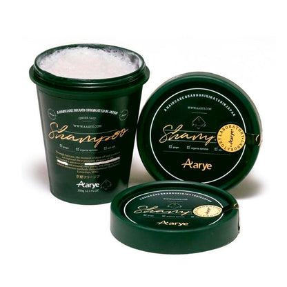 日本 Aarye京都蒼蘭姜鹽洗髮膏 350g - La Fée Beauty