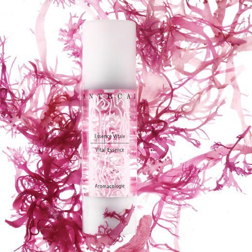 法國 Chantecaille 香緹卡 花妍活膚精華液 50ML - La Fée Beauty