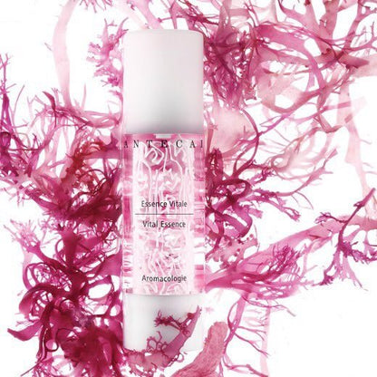 法國 Chantecaille 香緹卡 花妍活膚精華液 50ML - La Fée Beauty