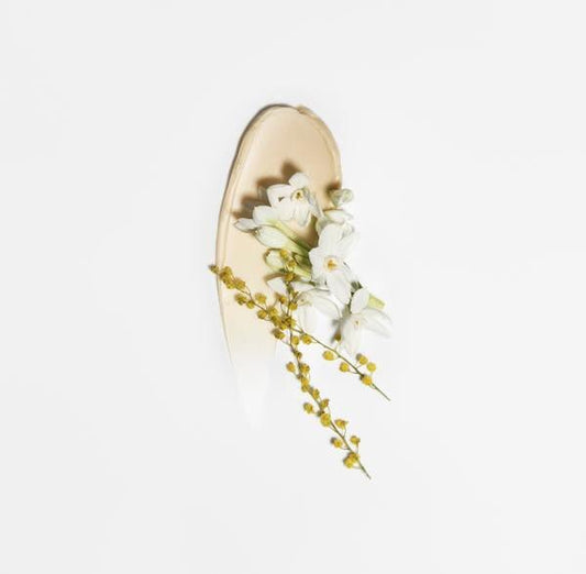 法國 Chantecaille 黃金修護面膜 50ML - La Fée Beauty