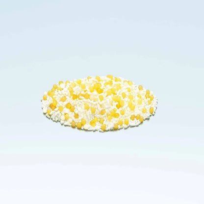 日本 本土版 森下仁丹 HealthAid Bifina S 雙歧桿菌乳酸菌益生菌補充劑 30日分