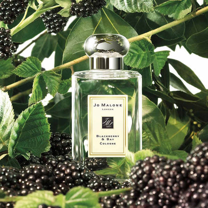 JO MALONE LONDON BLACKBERRY & BAY COLOGNE 黑莓子與月桂葉古龍水 - La Fée Beauty