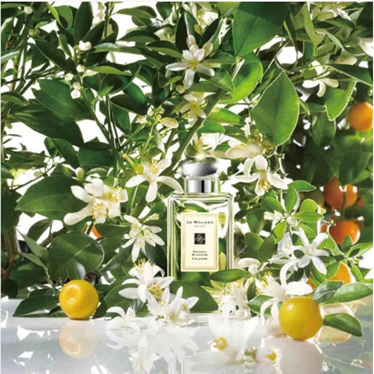 JO MALONE LONDON ORANGE BLOSSOM COLOGNE 橙花古龍水 - La Fée Beauty