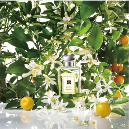 JO MALONE LONDON ORANGE BLOSSOM COLOGNE 橙花古龍水 - La Fée Beauty