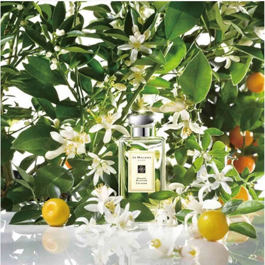 JO MALONE LONDON ORANGE BLOSSOM COLOGNE 橙花古龍水 - La Fée Beauty