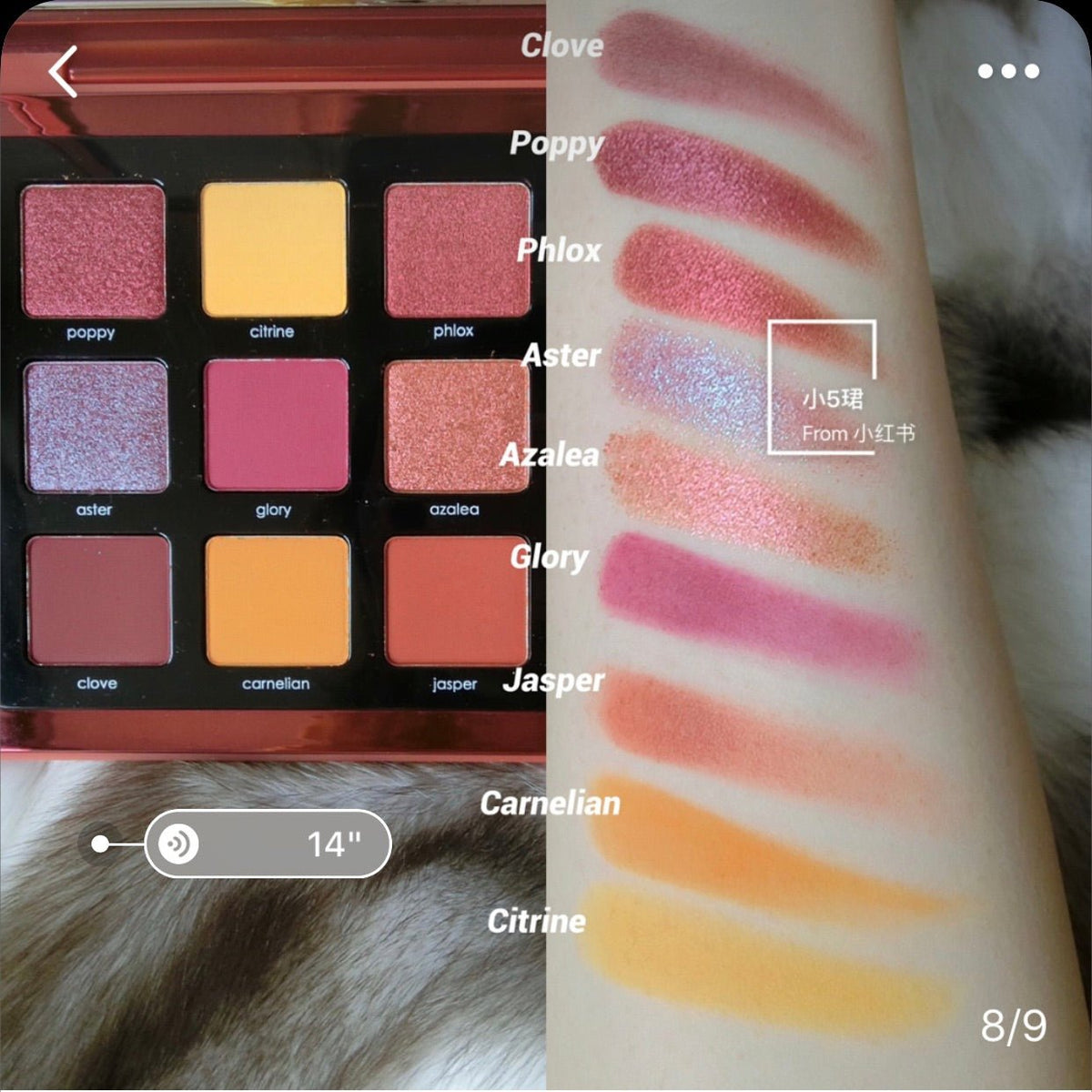 NATASHA DENONA Sunrise Palette 日出眼影盤 - La Fée Beauty