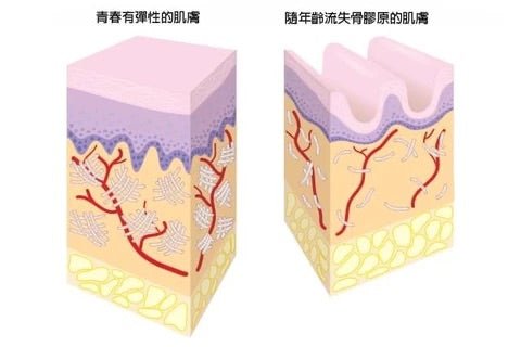 日本 NIPPI膠原蛋白100 1盒/110g x 3袋 - La Fée Beauty