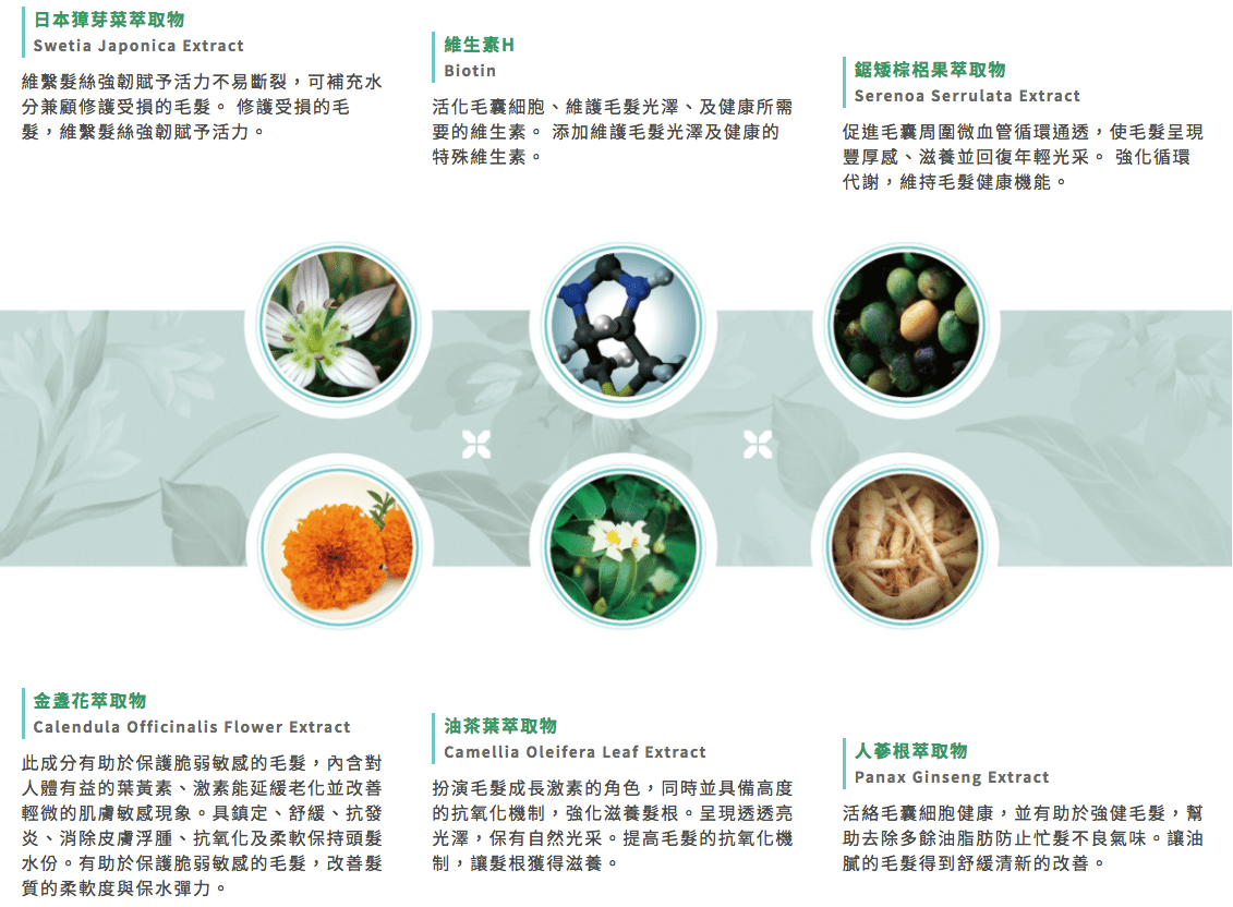 美國 REVITALASH RevitaBrow 美眉精華液 3.0mL - La Fée Beauty