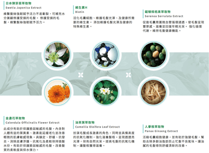 美國 REVITALASH RevitaBrow 美眉精華液 3.0mL - La Fée Beauty